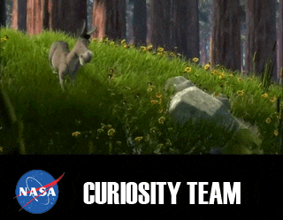 q5fKi.gif