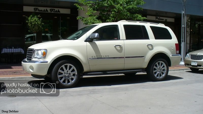 scavenger-052707-2.jpg