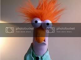 muppet.jpg
