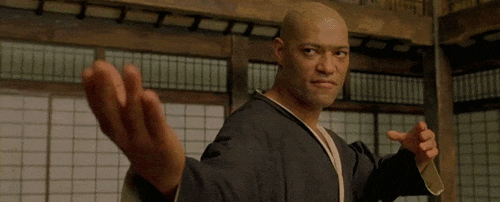 JauntyAgedKingsnake-size_restricted.gif