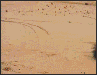 7uafT.gif