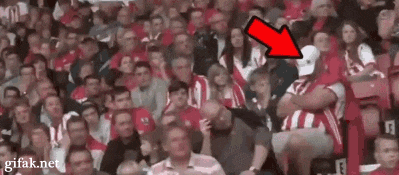 21.gif