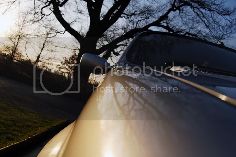 car_side_sunset.jpg
