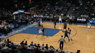 BlankRectangularBustard.gif