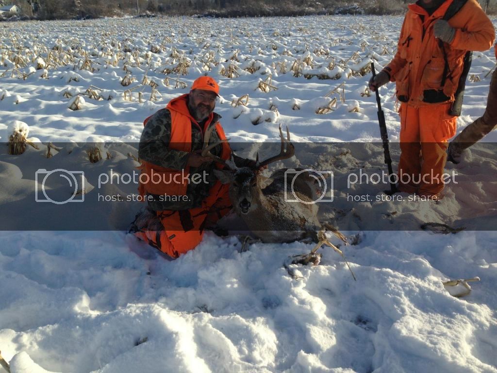 IMG_0194_zps357a6f03.jpg