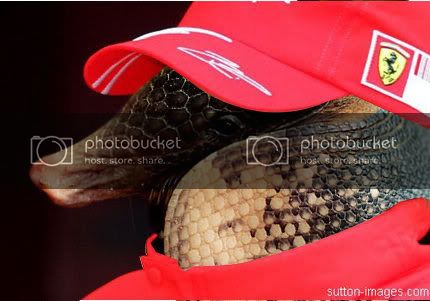 ferrariarmadillo.jpg