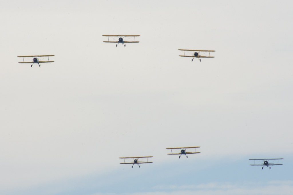 51672890669_c78df241c0_b.jpg