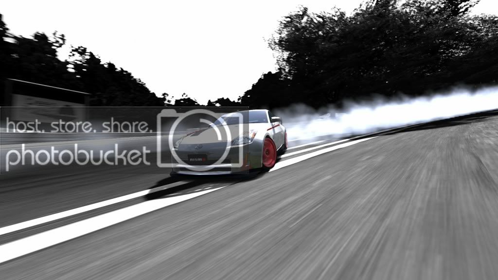 DeepForestRaceway_3.jpg