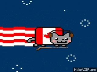 AWdIXo.gif
