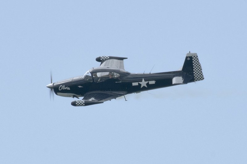 54653157333_0d6c865e40_c.jpg