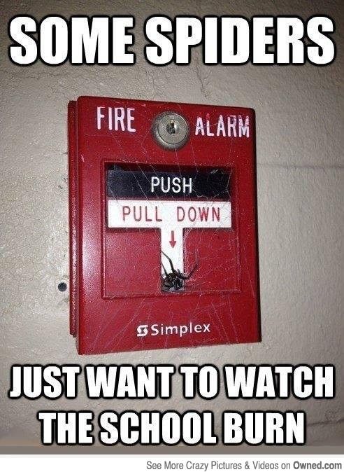 f611aa9fc1b2a756a919a33d581525b7.jpg