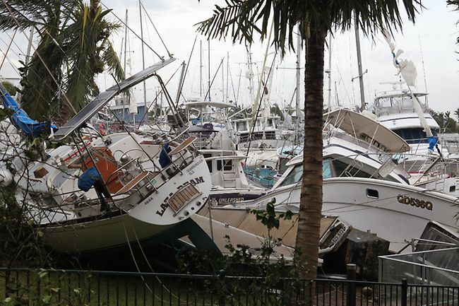 476836-cardwell-yasi.jpg