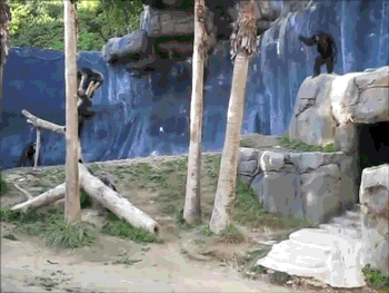 daily-morning-awesomeness-35-photos-29.gif