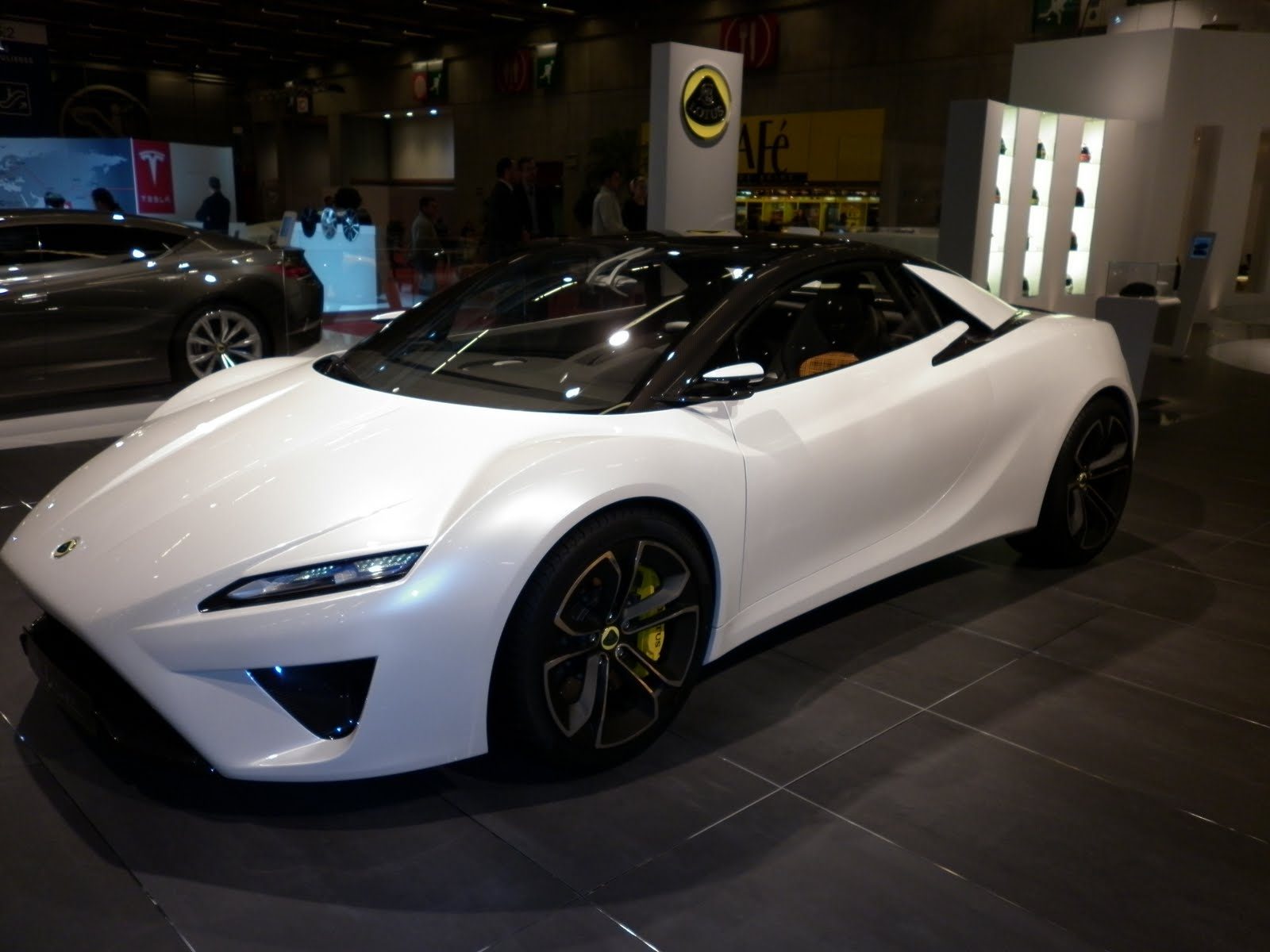 Lotus_paris_7.JPG