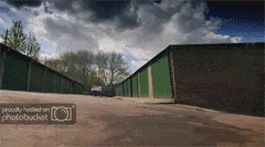 robin.gif