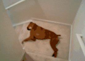 l4yst.gif