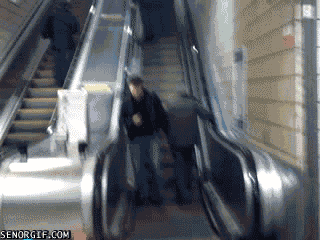 c1b4dc00-110d-4fdb-b00b-877e7012e0ca.gif