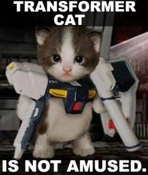 lolcatsdotcomx7qntcsuv7om0pri.jpg