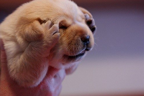 Oh_No_Monday_Img01.jpg