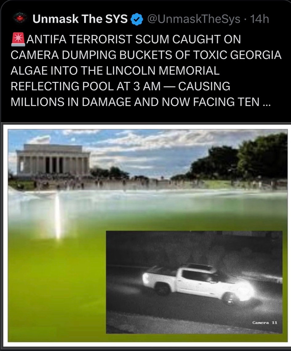 algae.jpg