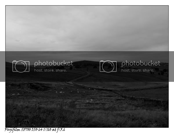 DSCF063EDITcopy.jpg