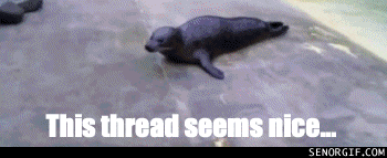 abandonthreadp1.gif