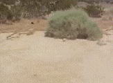 345iias.gif