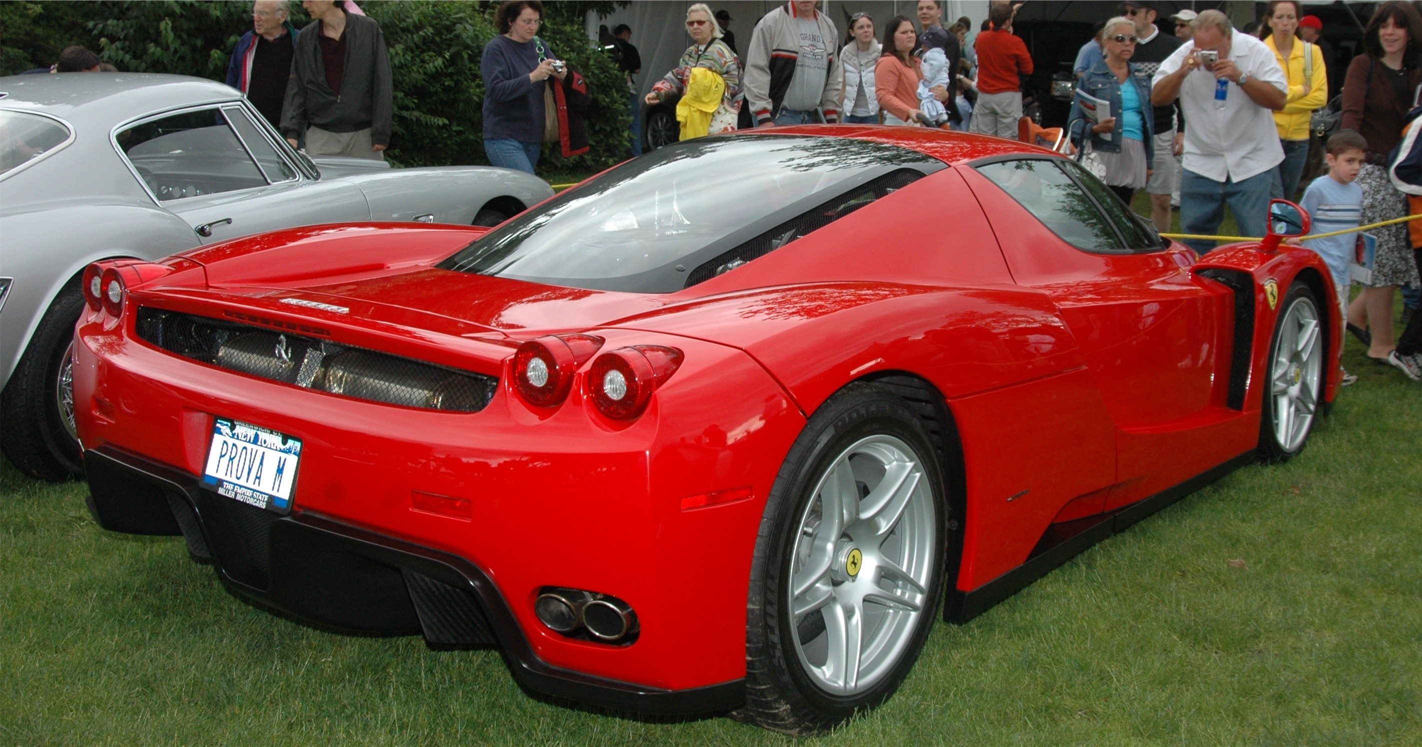 Enzo_rear.JPG