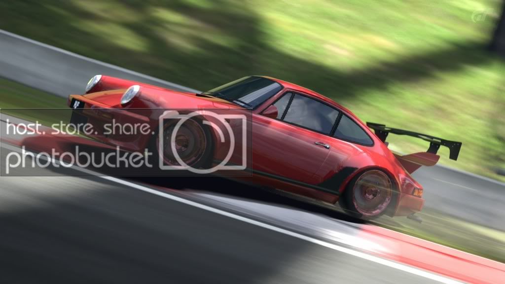 DeepForestRaceway_6.jpg