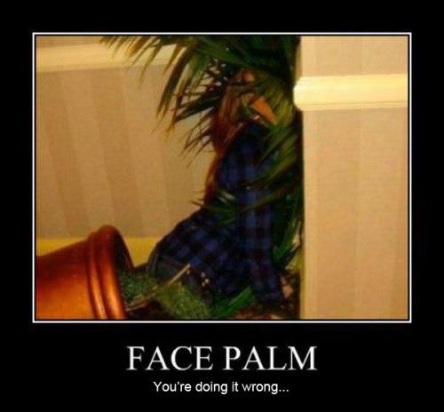 Funny_Pictures_7411.jpg