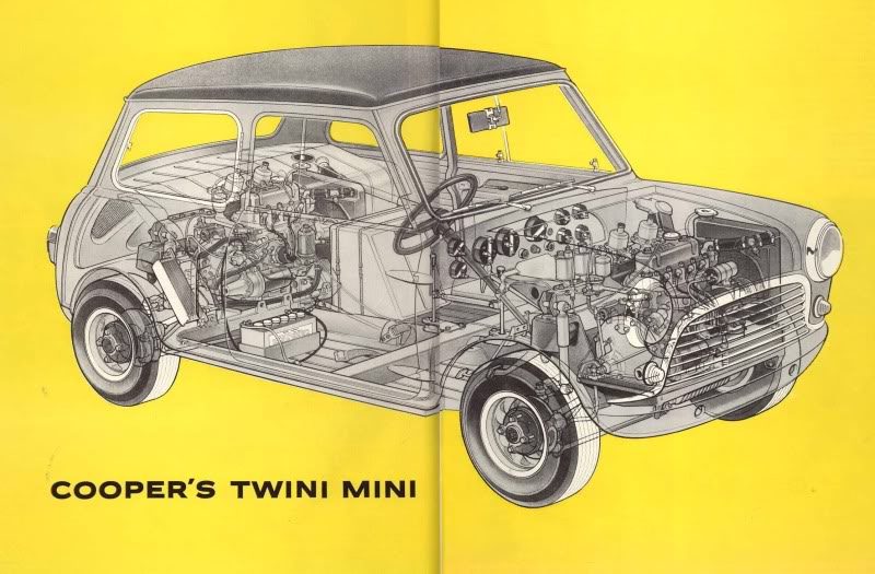 twini.jpg