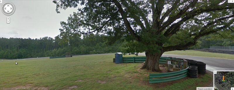 tree1372786686.jpg
