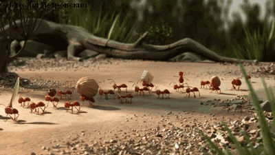 10-daily-gifdump-107.gif