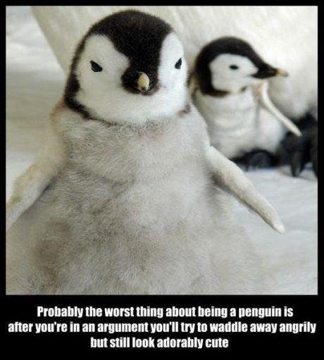Penguin-problems.jpg