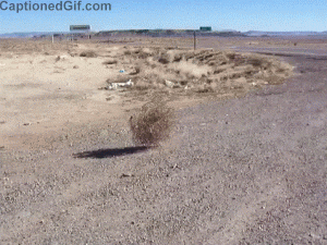 SxyUGsa.gif