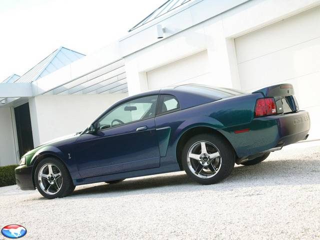 442004_SVT_Cobra_Mystichrome_2.jpg