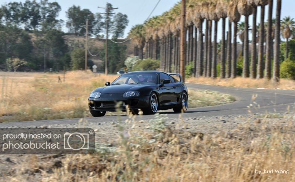 supra003_zpsdd44d668.jpg