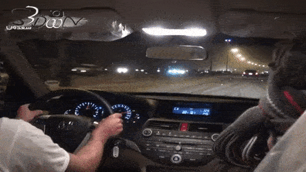 DependableFlakyEastrussiancoursinghounds.gif