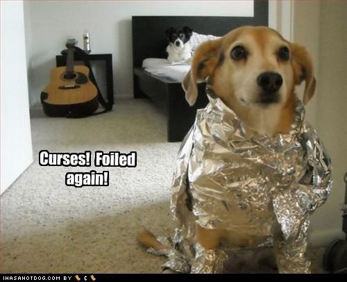 imagescurses-folied-again.jpeg