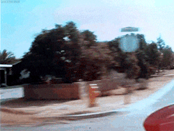tumblr_p9df3kUEVk1s2o1xlo4_250.gif