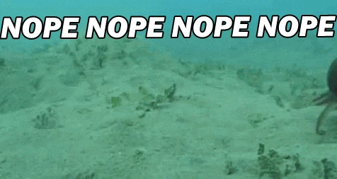 Gw6zf.gif