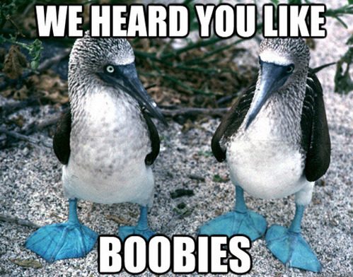 tumblr_m4li2pfaA21qewacoo1_r1_500.jpg