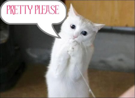 pretty_please_cat-1-jpg.82998
