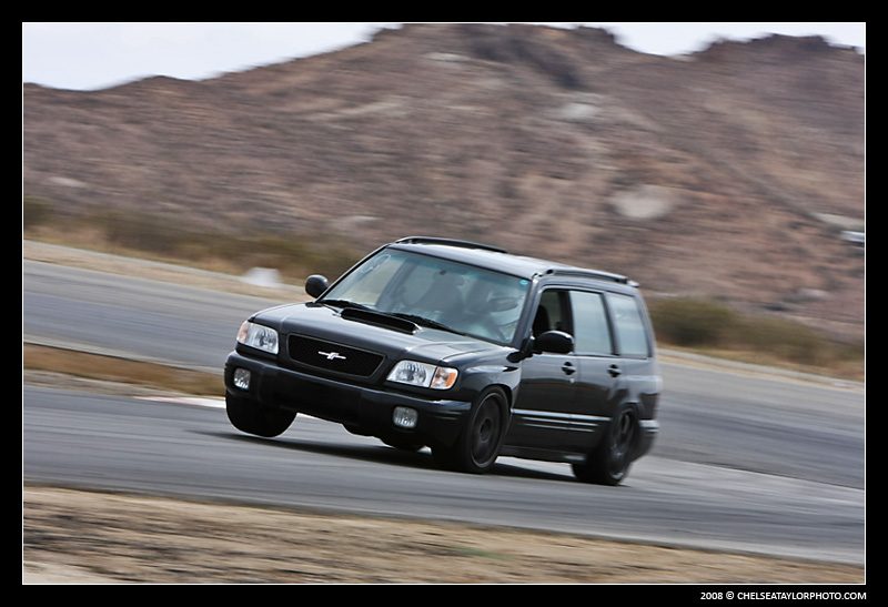 forester_1.jpg