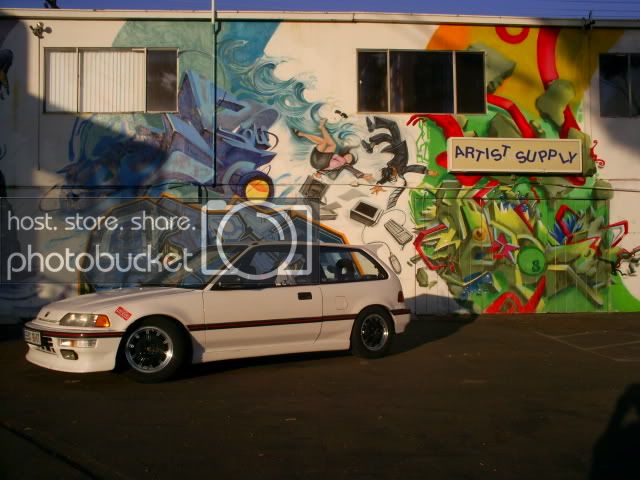 S4021476.jpg