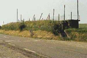 d89-1.gif
