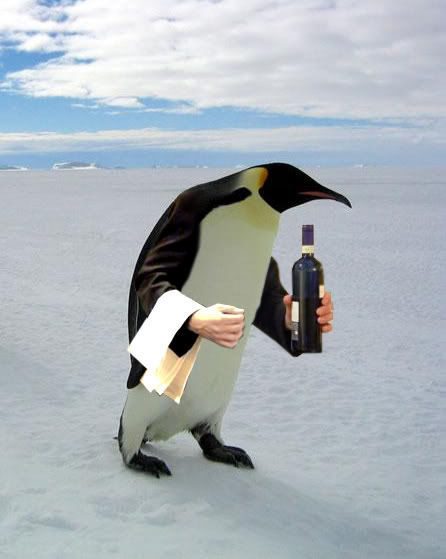 tumblr_lknwtmmht11qjh7ipo1_500.jpg