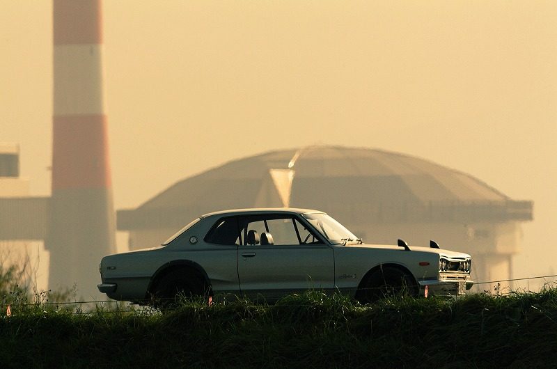 487.jpg