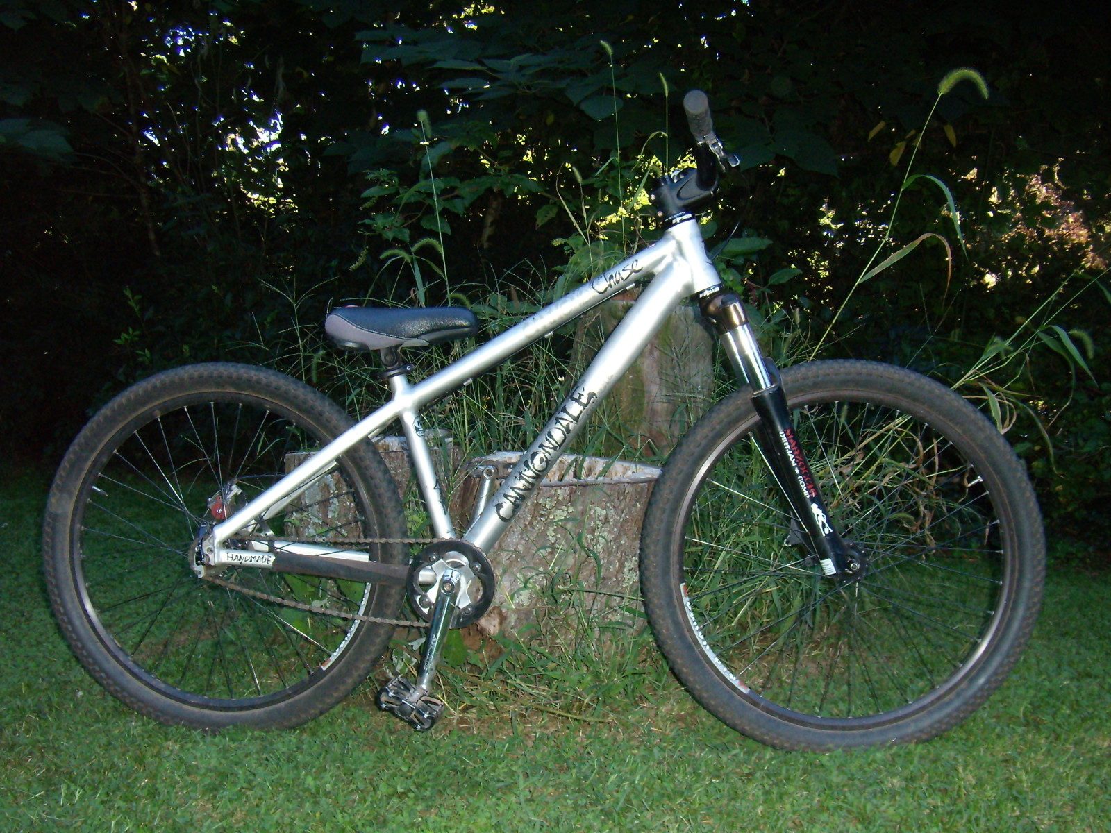 1zh3860.jpg
