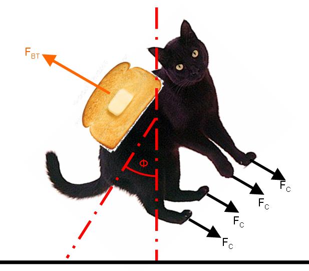 Cat_toast.JPG